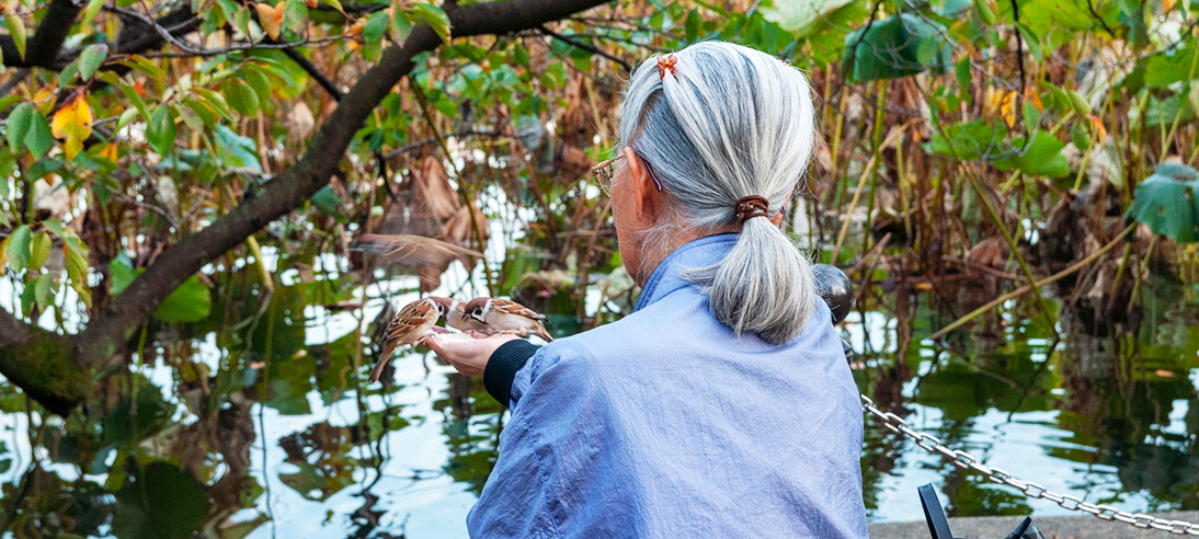 Okinawa e Ikigai - Manuela Fulignati Biologa Nutrizionista